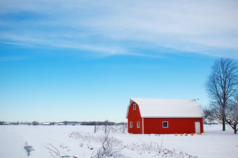 The White Sparrow Barn