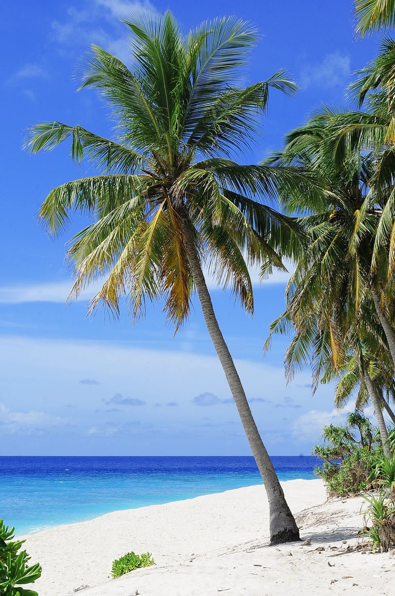 Maldives