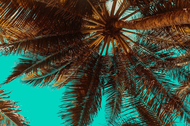 Seychelles